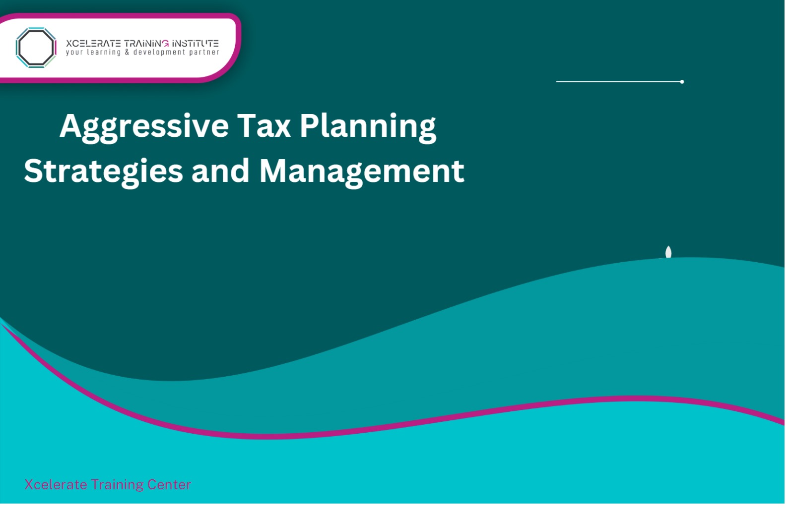 Aggressive Tax Planning Strategies and Management