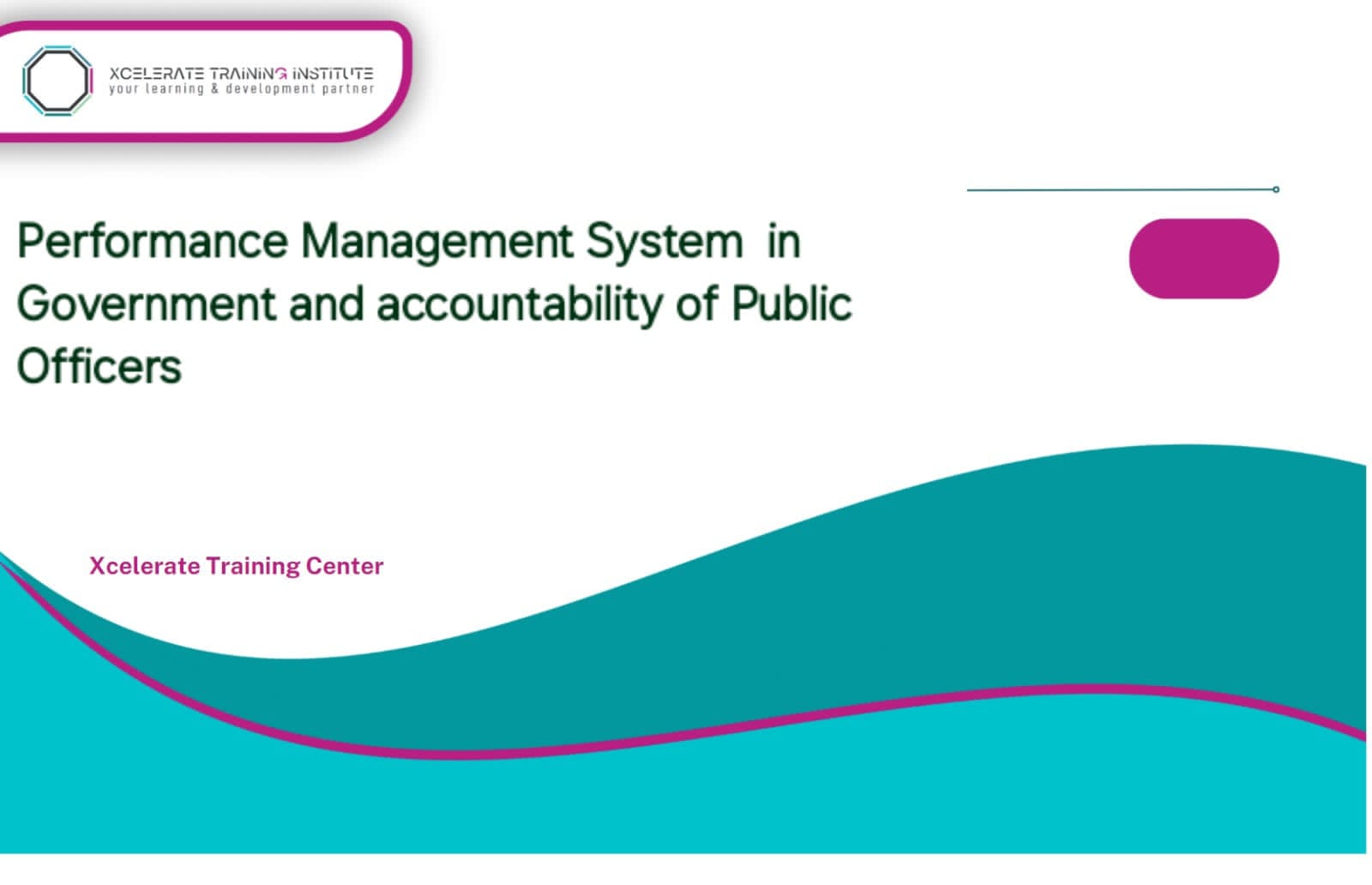 Performance Management System in Government and Accountability of Public Officers