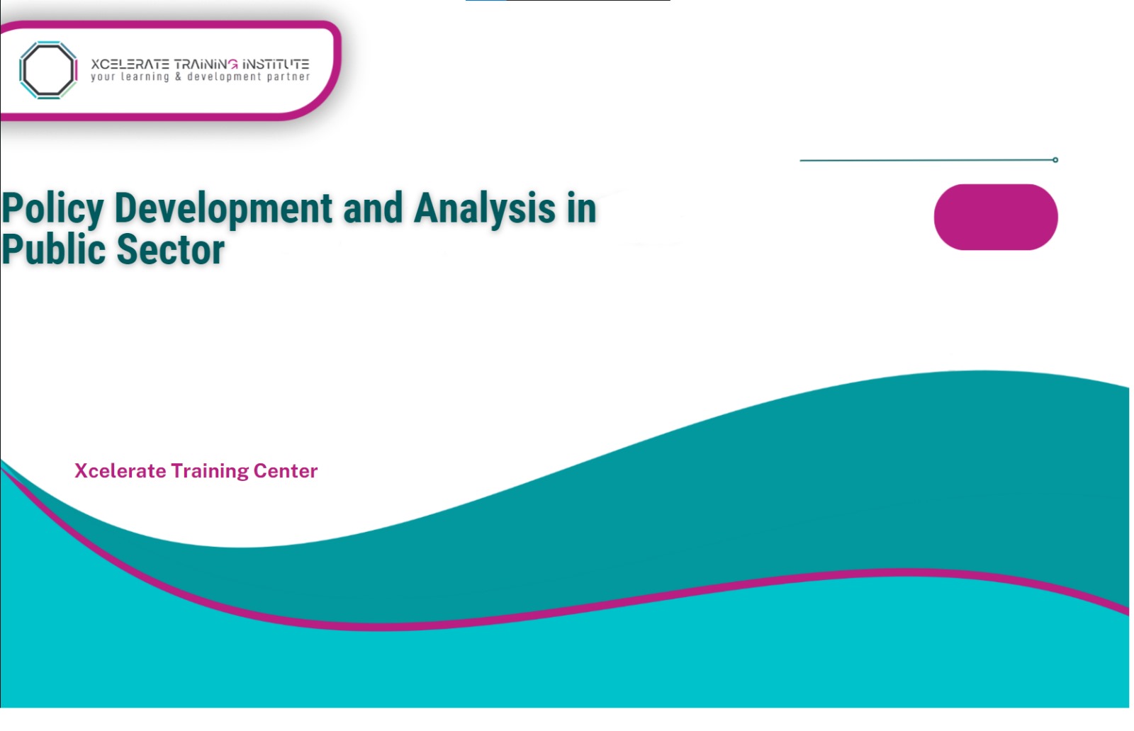 Policy Development and Analysis in Public Sector