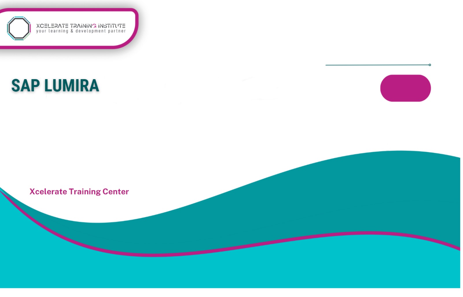 SAP LUMIRA Training Course