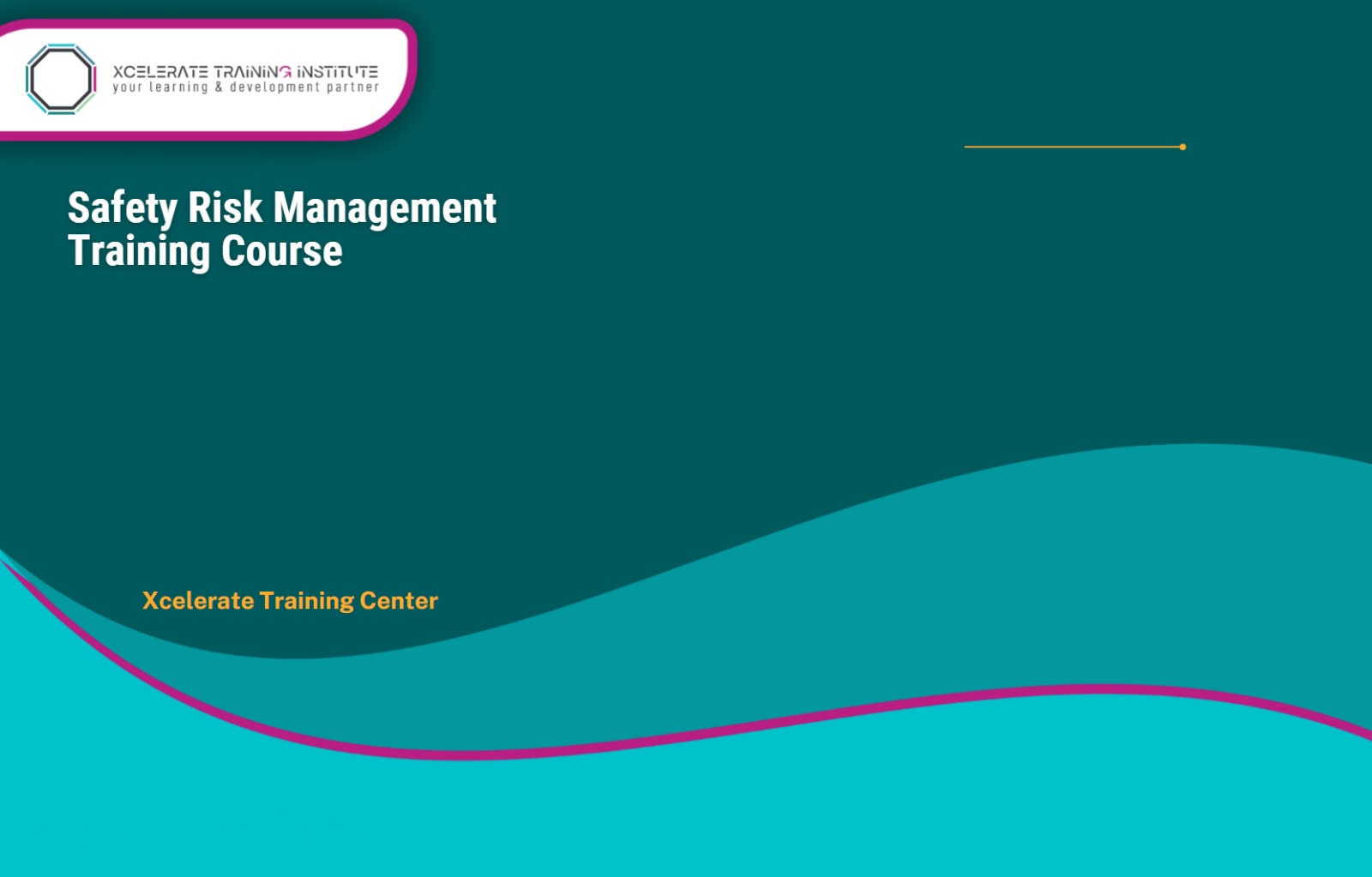 Safety Risk Management Training Course
