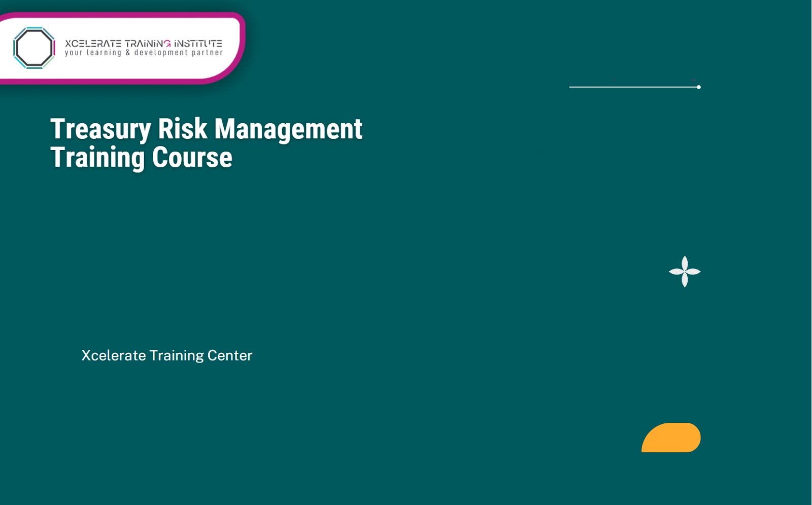 Treasury Risk Management Training Course