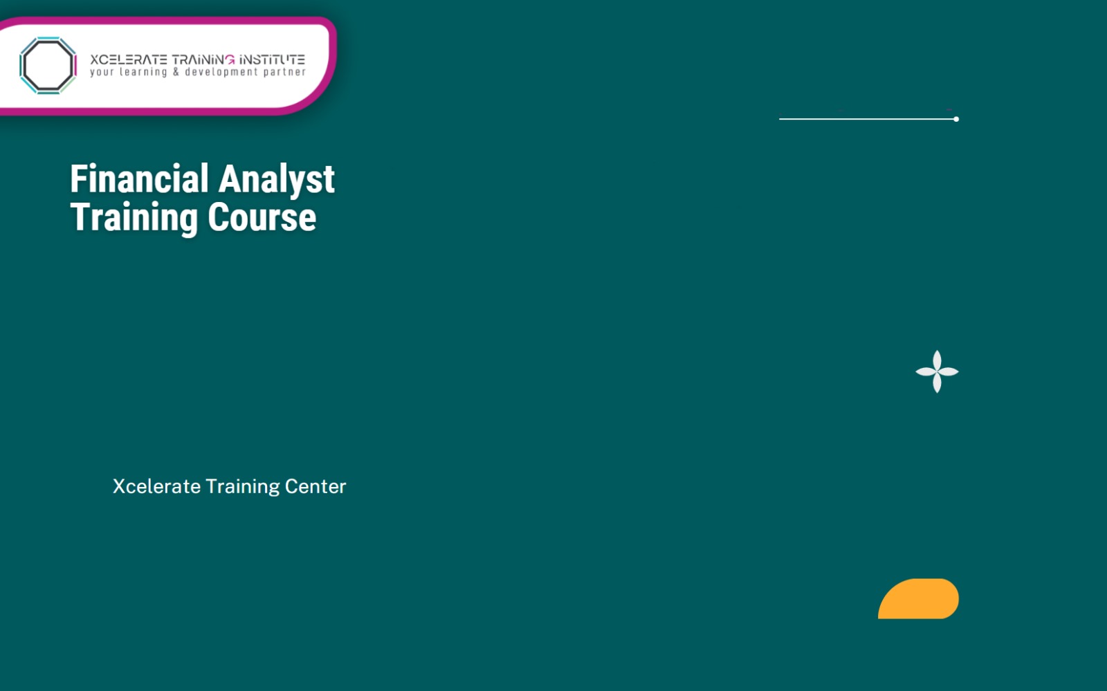Financial Analysis Training Course : A Hands-On Approach