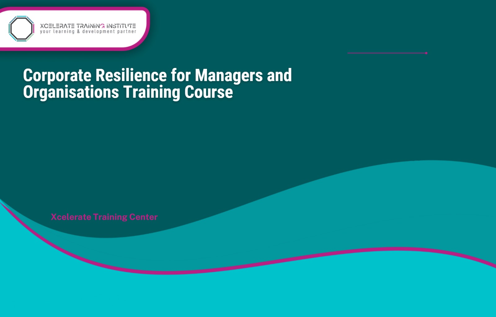 Corporate Resilience Training for Managers and Organizations Training Course